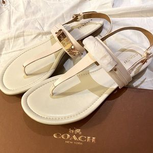 New Coach Caterine Semi Matt Calf Chalk Sandal